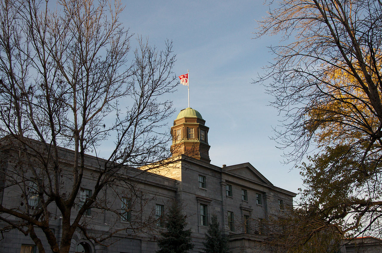 McGill e Universidade de Toronto: qual é a melhor?